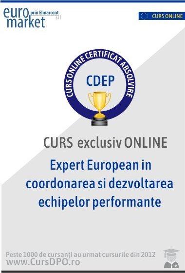 Curs Expert EU in coordonarea si dezvoltarea echipelor performante